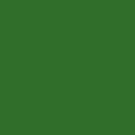 RAL 6025 Vert fougère